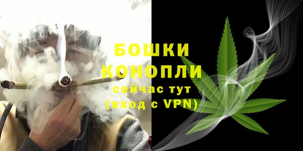 ECSTASY Дмитров