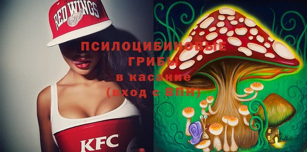 мескалин Дмитриев